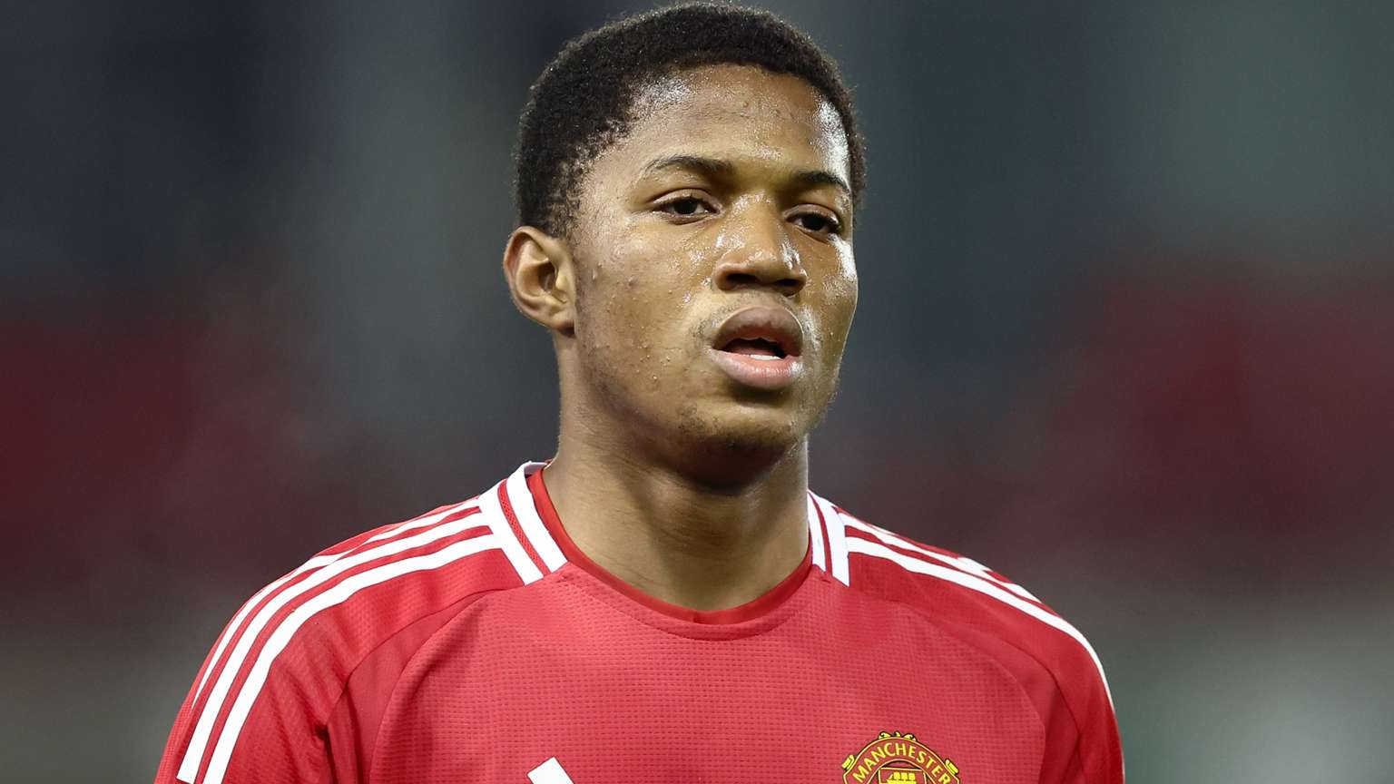 一颗冉冉升 一颗冉冉升